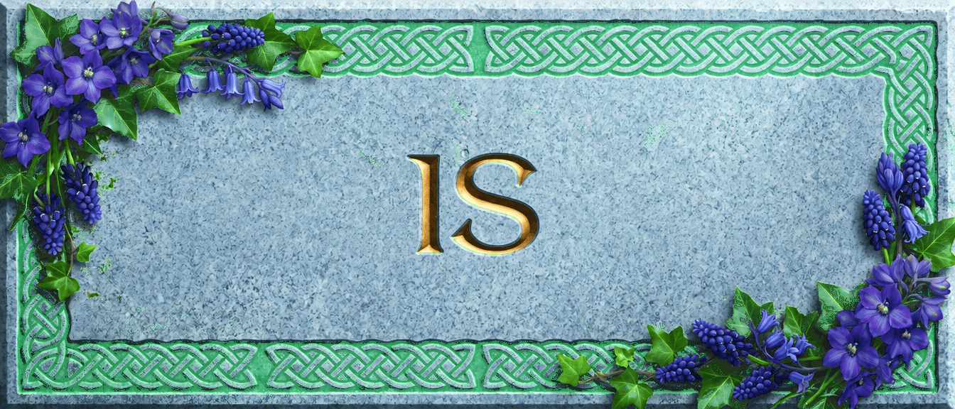 IS