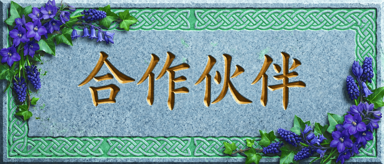 合作伙伴